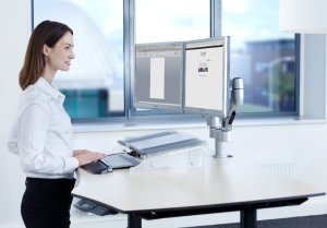BakkerElkhuizen Space-arm 48.3 cm (19") Desk Aluminium