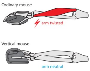 STANDIVARIUS AVE - ergonomic/wireless mouse