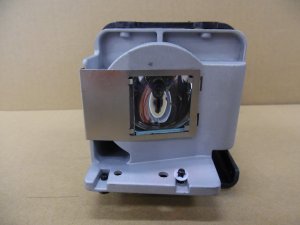 Diamond Lamps Lamp for OPTOMA EH501:W501:HD36:HD151X:EW420:DAEHNZTZ Projector