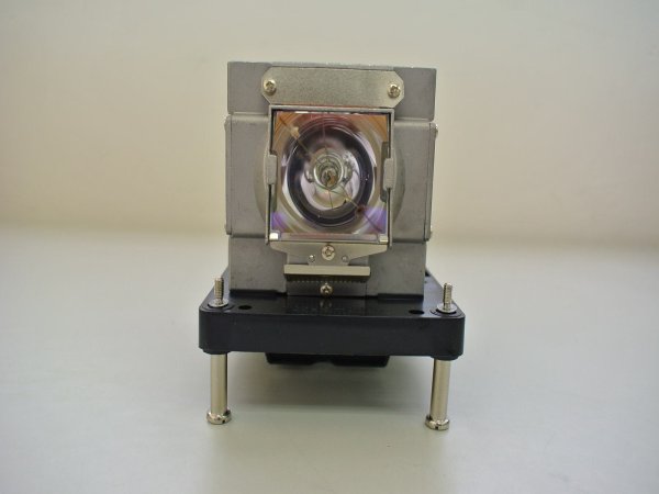 Diamond Lamps Lamp for VIVITEK DU-9000 Projector