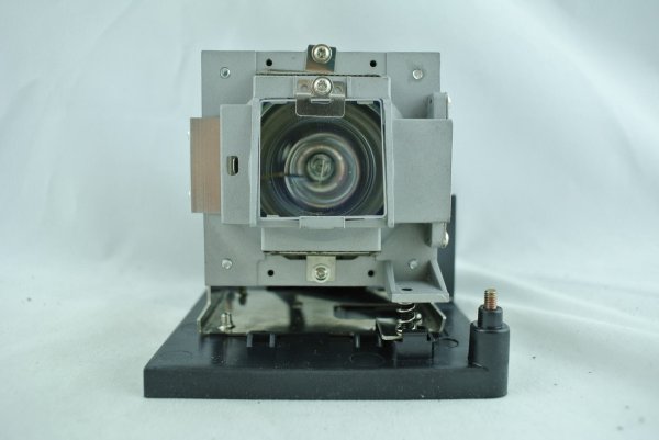 Diamond Lamps Lamp for VIVITEK D-791ST:D-795WT Projector