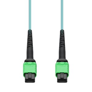 AddOn Networks ADD-16FAMPOAMPO-15M5OM4 InfiniBand/fibre optic cable 15 m MPO OFNR Aqua colour, Black, Green