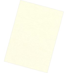 Fellowes 5370004 binding cover A4 Paper Ivory 100 pc(s)