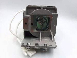 Diamond Lamps Lamp f/BENQ W2700 Projector