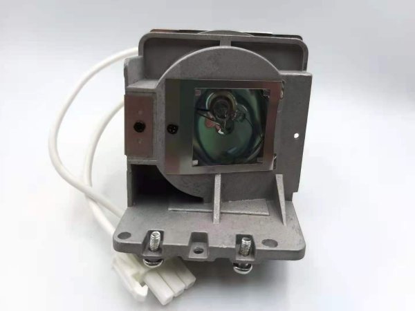 Diamond Lamps Lamp f/BENQ W2700 Projector