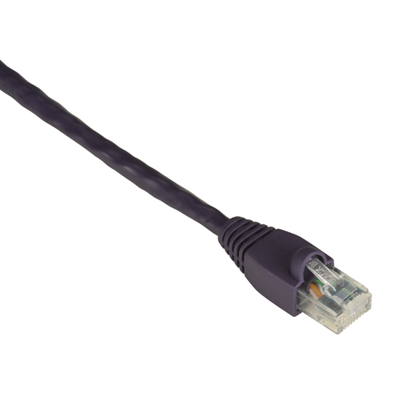 Black Box 50ft Cat6 networking cable Purple 15.2 m U/UTP (UTP)