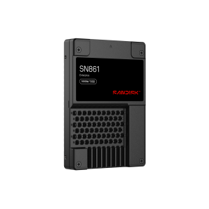 SanDisk SN861 3.84 TB U.2 PCI Express 5.0 NVMe