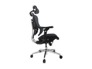 Equip Ergonomic Premium Office Chair with Headrest and Armrests, Blue Black