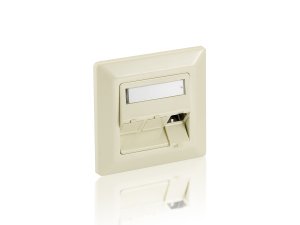 Equip 3-Port German Faceplate, Pearl White