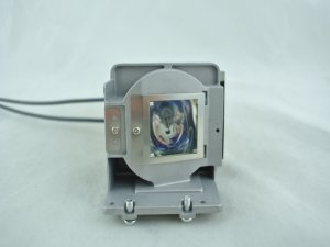 Diamond Lamps Lamp for OPTOMA S2015:S302:S303:S313:W2015:W303:W313:X2010:X2015:X302:X303:X313:DX5100:BR303:BR320:BR324:BR325:BR327:BR332:DS328:DS330:DS343:DW343:DX328:DX330:DX343:H100:S2010:W302:DS313:DX313 Projector