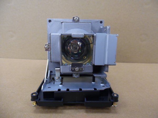 Diamond Lamps Lamp for OPTOMA DH1015:DH1016:EH2060:EX784:EX799P Projector