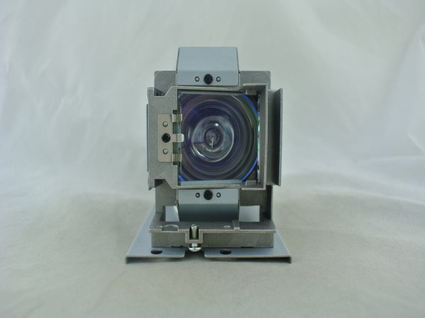 Diamond Lamps Lamp for INFOCUS IN8606HD Projector