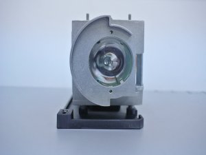 Diamond Lamps Lamp for OPTOMA EH319UST:EH319USTi:EH320UST:EH320USTi:W320UST:W320USTi:X320UST:X320USTi:GT5000:GT5500 Projector