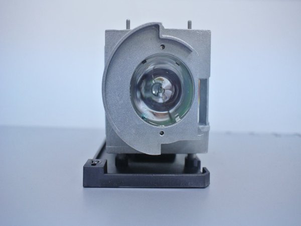 Diamond Lamps Lamp for OPTOMA EH319UST:EH319USTi:EH320UST:EH320USTi:W320UST:W320USTi:X320UST:X320USTi:GT5000:GT5500 Projector