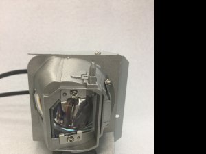 Diamond Lamps Lamp for OPTOMA WU334:WU336:WU335:WU337:EH334:EH335:EH337:HD27e:HD143X:HD27Be:HD144X:DH350:HD270e:EH336 Projector