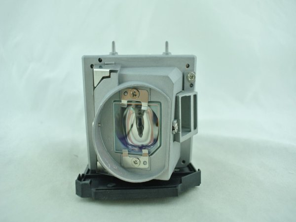 Diamond Lamps Lamp for OPTOMA EW766:EW766W:EX765:TW766W:TX765W:EX765W Projector